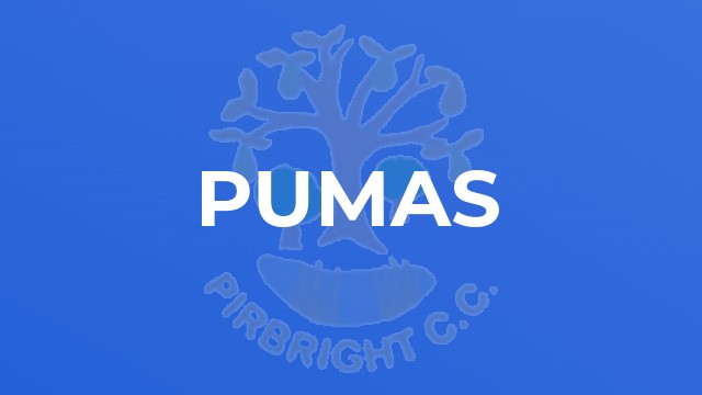 Pumas