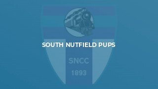 South Nutfield Pups