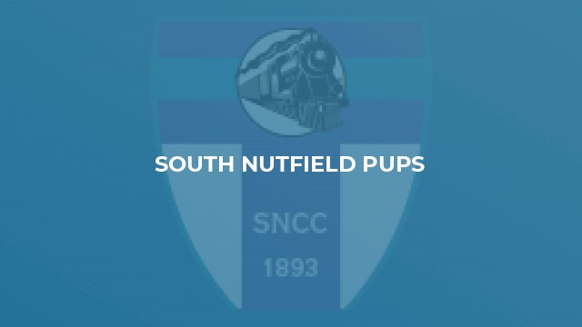 South Nutfield Pups