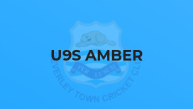 U9s Amber