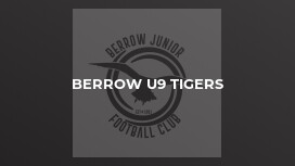 Berrow U9 Tigers