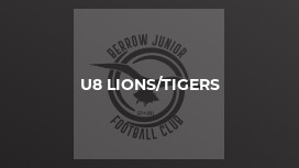 U8 Lions/Tigers