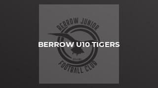 Berrow U10 Tigers