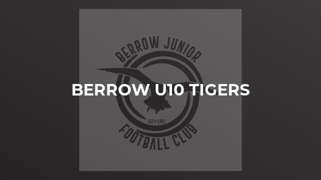 Berrow U10 Tigers