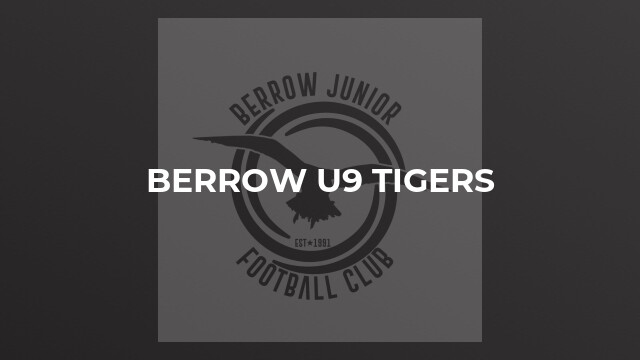 Berrow U9 Tigers