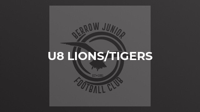 U8 Lions/Tigers