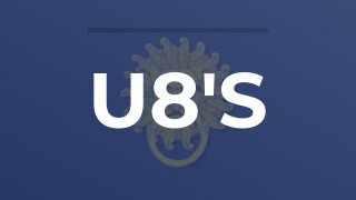 U8's