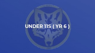 Under 11s ( Yr 6 )