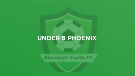 Under 8 Phoenix