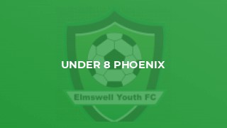 Under 8 Phoenix