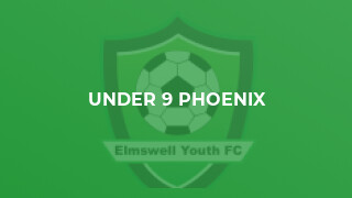 Under 9 Phoenix