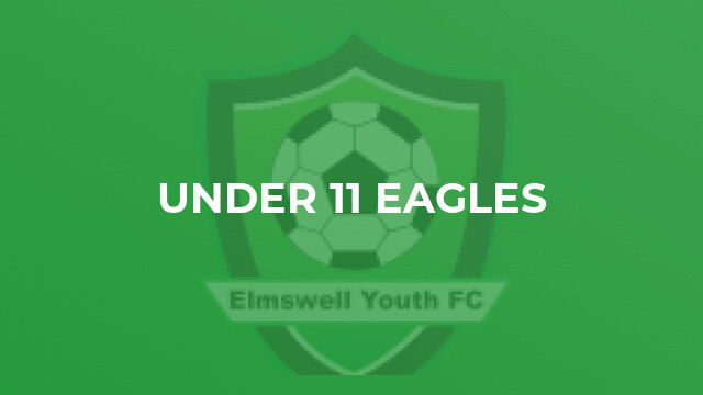 Under 11 Eagles