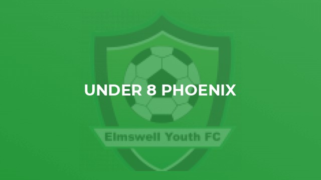 Under 8 Phoenix