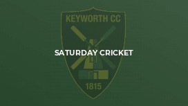 Saturday Cricket