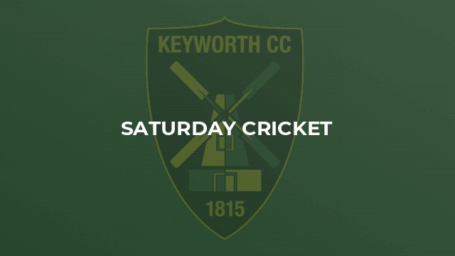 Saturday Cricket