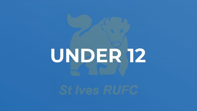 Under 12