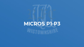 MICROS P1-P3