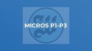 MICROS P1-P3