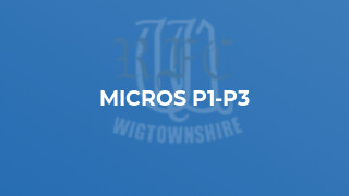 MICROS P1-P3