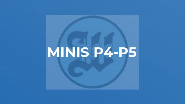 MINIS P4-P5