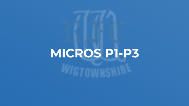 MICROS P1-P3