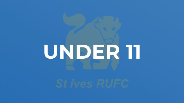 Under 11