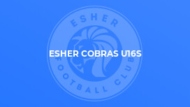 Esher Cobras U16s