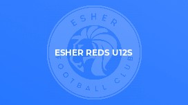 Esher Reds U12s
