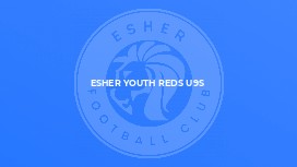 Esher Youth Reds U9s