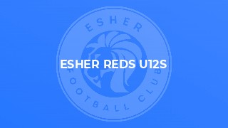 Esher Reds U12s