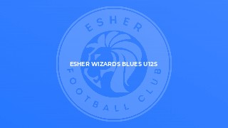 Esher Wizards Blues U12s