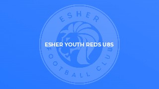Esher Youth Reds U8s