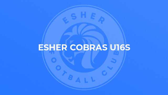 Esher Cobras U16s