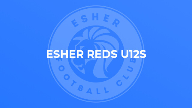 Esher Reds U12s