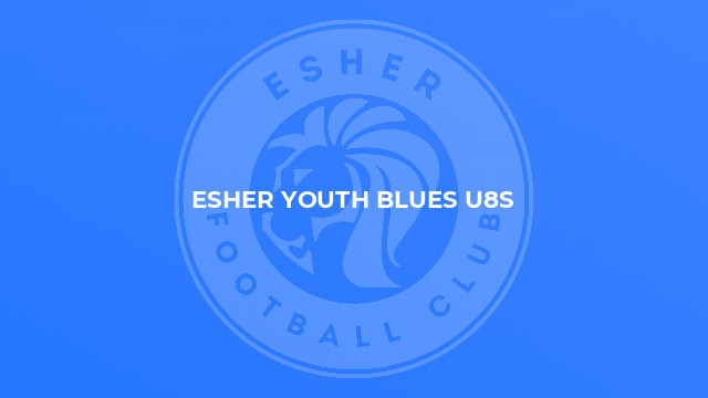 Esher Youth Blues U8s