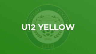 U12 Yellow