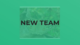 New Team