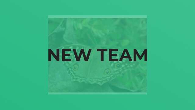New Team