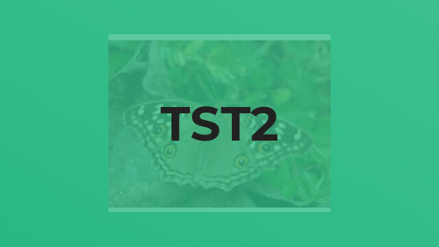 tst2