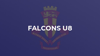 FALCONS U8
