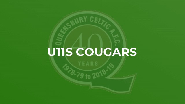 u11s Cougars