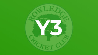 Y3