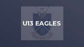 U13 Eagles