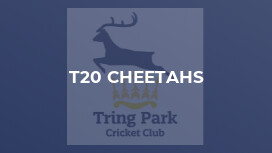 T20 Cheetahs
