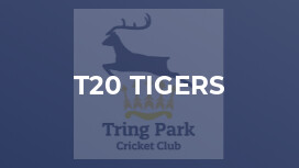 T20 Tigers