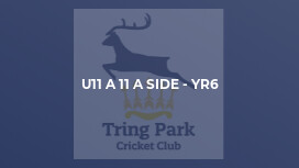 U11 A 11 a side - Yr6