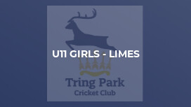 U11 Girls - Limes
