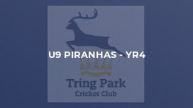 U9 Piranhas - Yr4