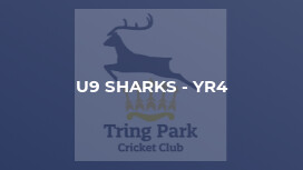 U9 Sharks - Yr4