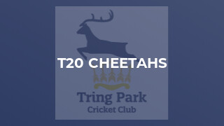 T20 Cheetahs
